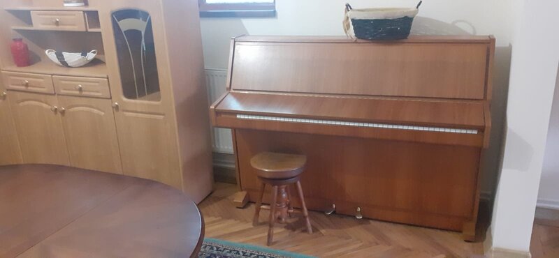 Ion Mihalache, Expozitiei