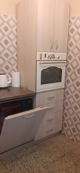 Ion Mihalache, Expozitiei