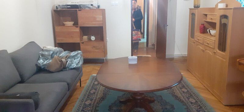 Ion Mihalache, Expozitiei