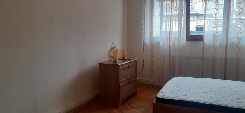 Ion Mihalache, Expozitiei