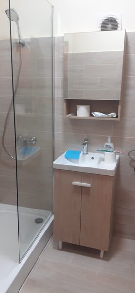 Ion Mihalache, Expozitiei