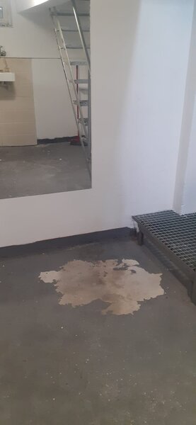 Ion Mihalache, Expozitiei