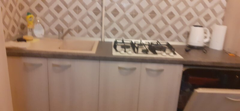 Ion Mihalache, Expozitiei