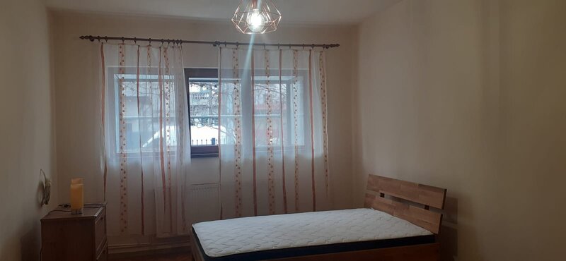 Ion Mihalache, Expozitiei